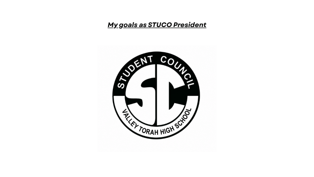 Why You Should Vote Me for STUCO&nbsp;President